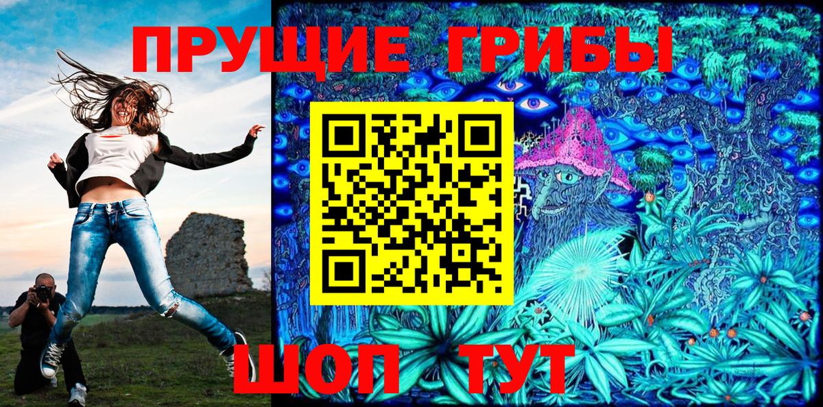 Галлюциногенные грибы Psilocybe Камышлов