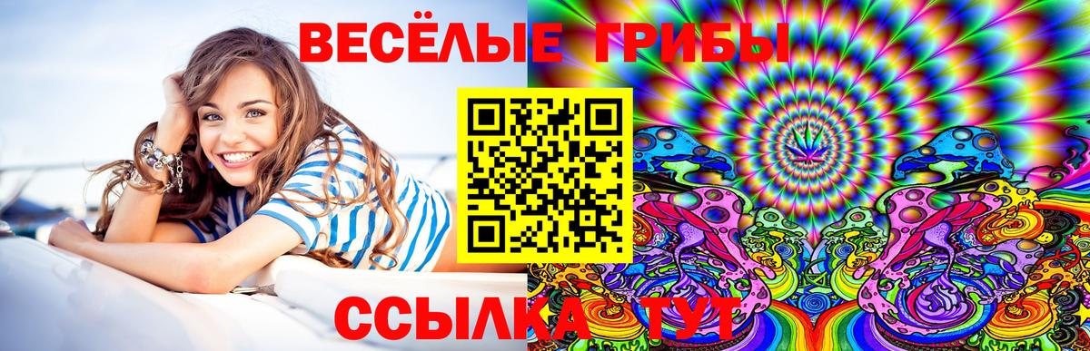 Камышлов  Галлюциногенные грибы ЛСД  Вход с VPN 